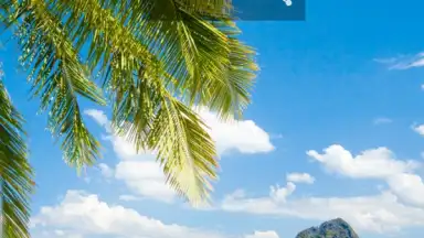 Big Days of Our Lives Countdown скриншот 18