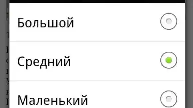 Lenta.ru скриншот 2