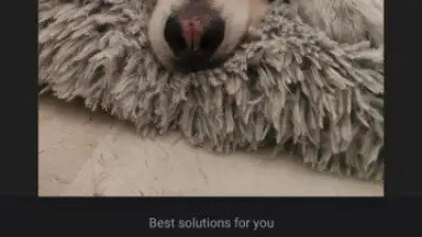 Wink скриншот 12