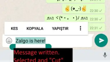 Upside Down Chat+ скриншот 13