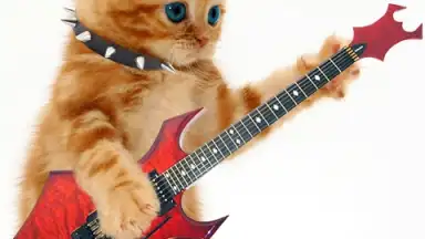 Talking, Dancing Cat. скриншот 3