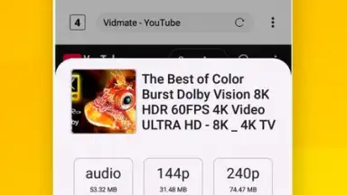 Vidora YouTube Downloader | free & fast скриншот 2