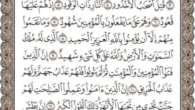 TvQuran скриншот 2