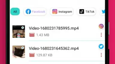 Video Downloader скриншот 2