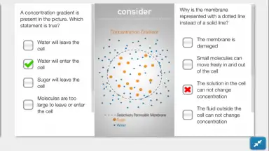 SPARKvue скриншот 8