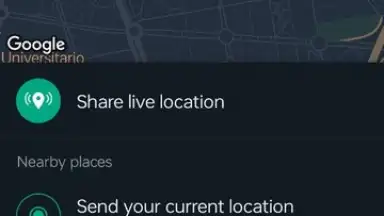 WhatsApp Messenger скриншот 30