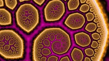 MandelBrowser скриншот 15