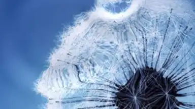 Galaxy S3 Live Wallpaper скриншот 1