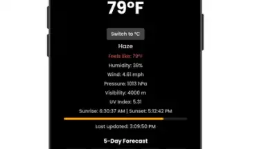 ForecastPro скриншот 3