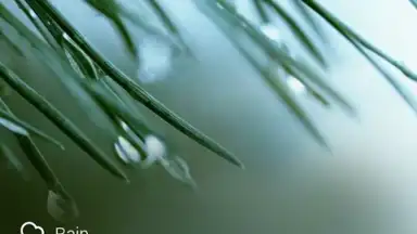 GO Weather Forecast and Widgets скриншот 6