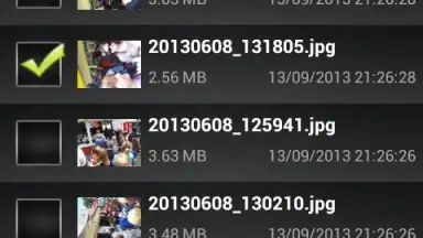 File Selector/Explorer скриншот 4