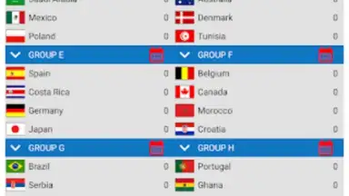 World Football Simulator скриншот 3