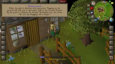 Old School RuneScape скриншот 1