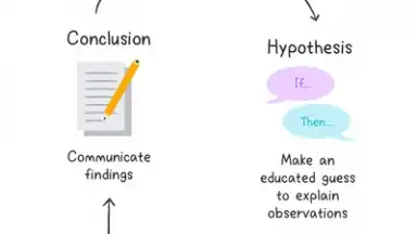 Socratic by Google скриншот 5