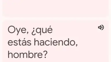 Google Translate скриншот 12