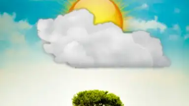 Cute Weather скриншот 5