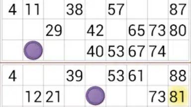 Loto Online скриншот 2