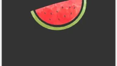 VPN Melon скриншот 1