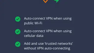 Avast SecureLine скриншот 1