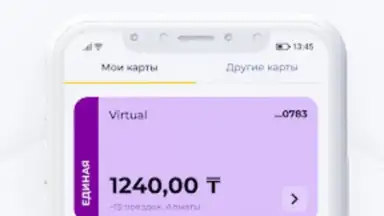 ONAY! Общественный транспорт скриншот 4