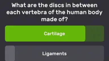 QuizzLand скриншот 5