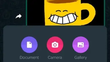 WhatsApp Messenger скриншот 28