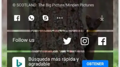 4K Browser скриншот 6