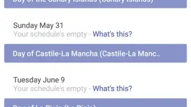 Today Calendar скриншот 1