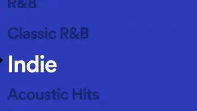 Spotify Stations скриншот 12