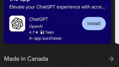 Google Play скриншот 1