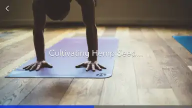 Yoga | Down Dog скриншот 2