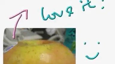 MyBitCast скриншот 3