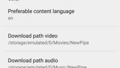 NewPipe скриншот 17