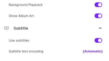 KMPlayer скриншот 8