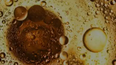 Rap Music Radio Full скриншот 2