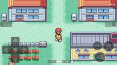 Pokemon Collection скриншот 3