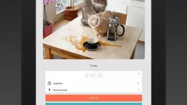 Manything скриншот 1
