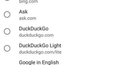 Bromite скриншот 3