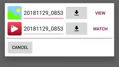 Advanced Downloader скриншот 8