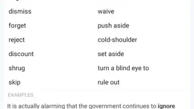 Reverso Translation Dictionary скриншот 20