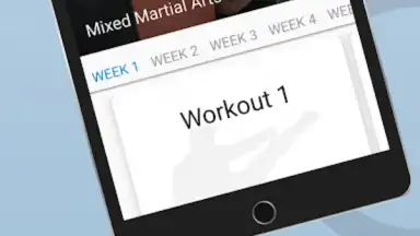 Ultimate MMA Fighting Program скриншот 5