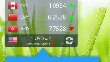 Currency Exchange Rates скриншот 8
