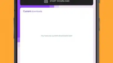 Twitch Downloader скриншот 3