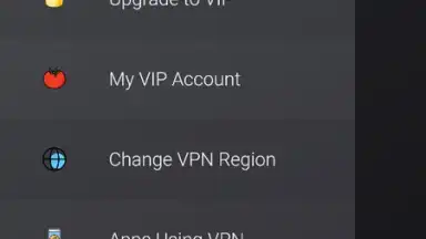 VPN Tomato скриншот 8