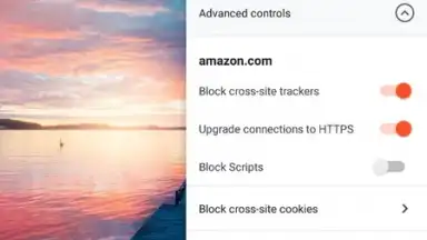 Brave Nightly (devs & testers) скриншот 1