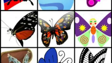 Butterfly Flower for DoodleTex скриншот 4