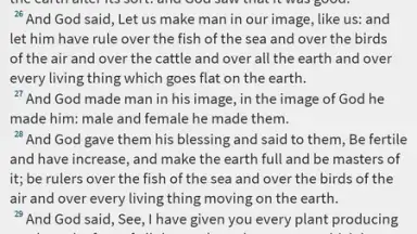 Bible-Discovery скриншот 12