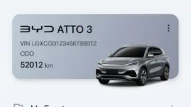 BYD скриншот 1