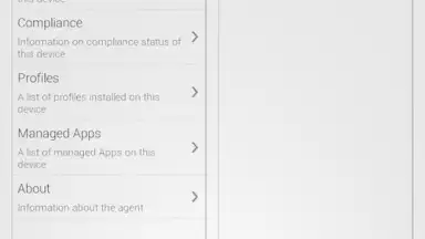 AirWatch Agent скриншот 3