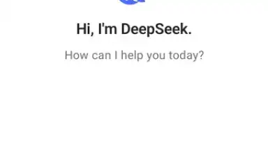 DeepSeek скриншот 1